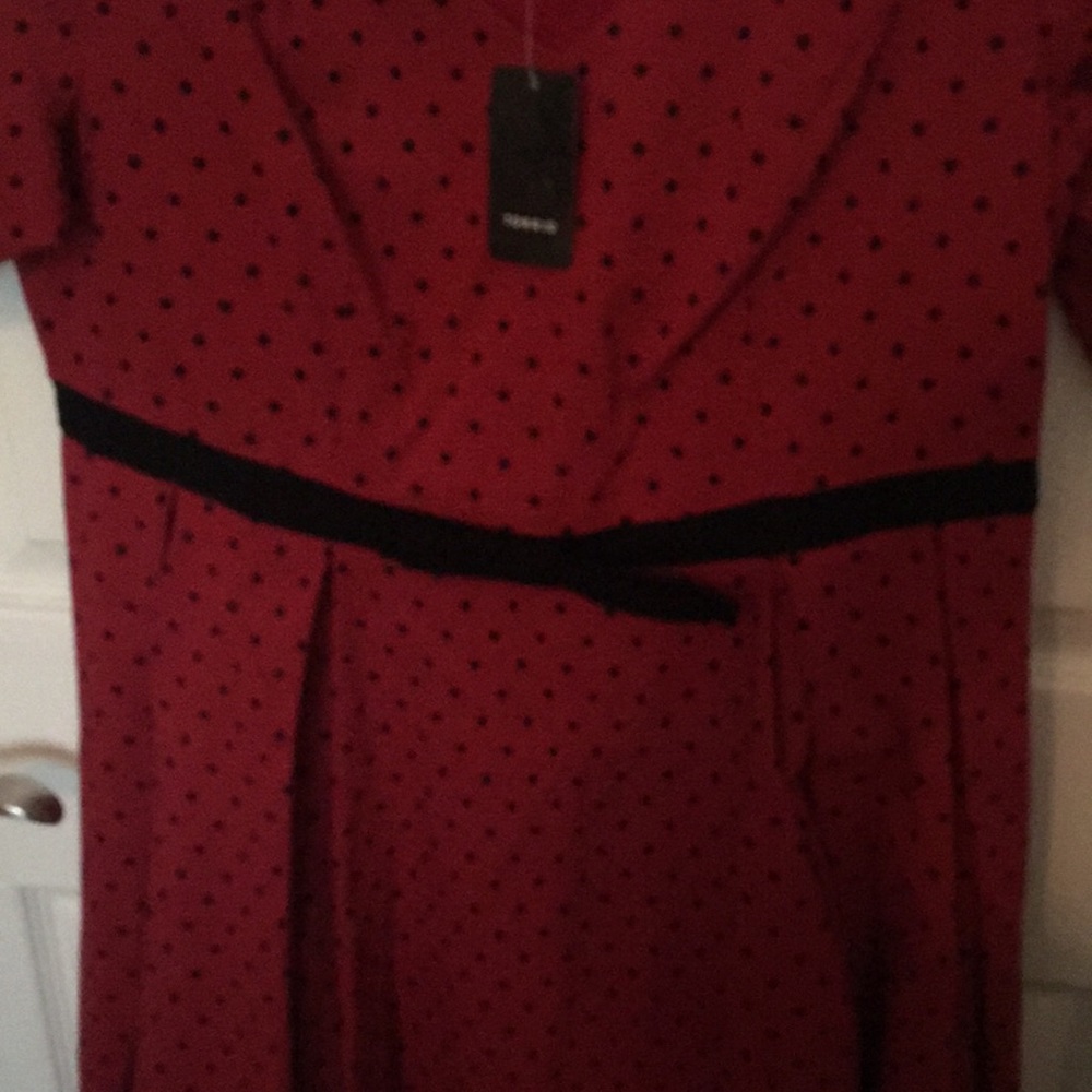 Torrid Retro Chic dress